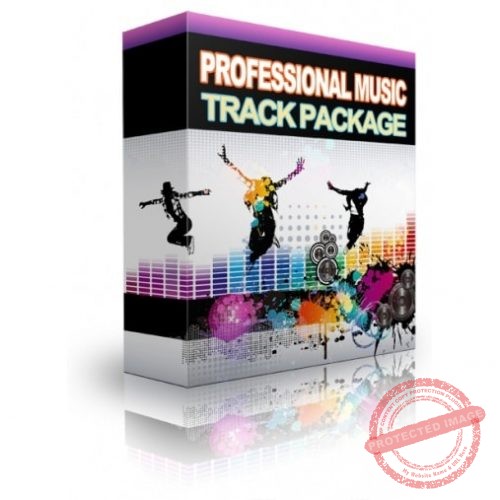 Professional Music Track