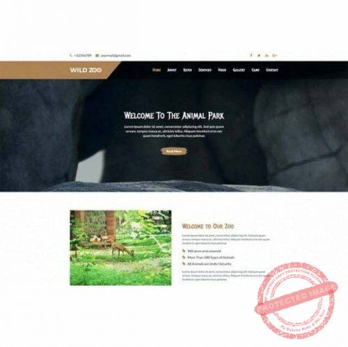 Wild Zoo One Page - HTML Template